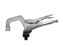 Cargar imagen en el visor de la galería, Pinza PTT